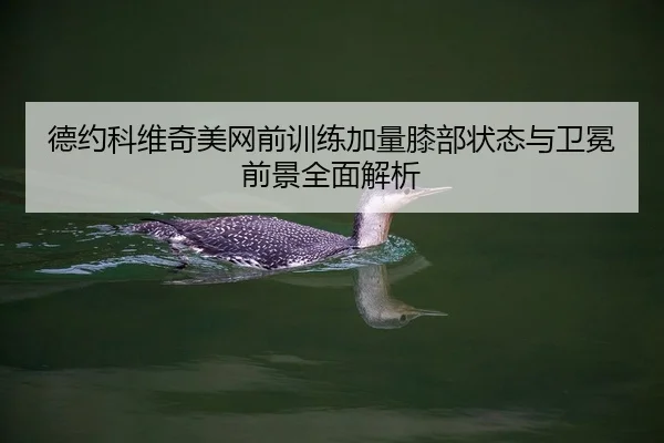德约科维奇美网前训练加量膝部状态与卫冕前景全面解析